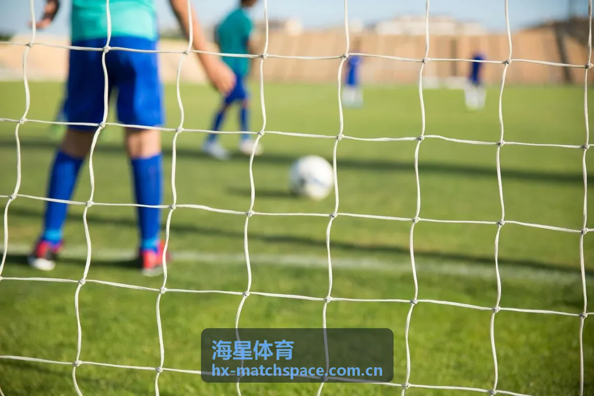 海星体育专栏解读：五大联赛夏窗引援趋势盘点